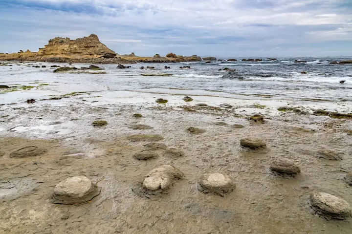 天然記念物に指定されている海岸景勝地！