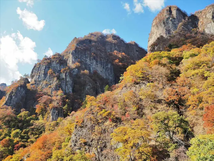 日本三大奇景の奇岩が見られる神社！