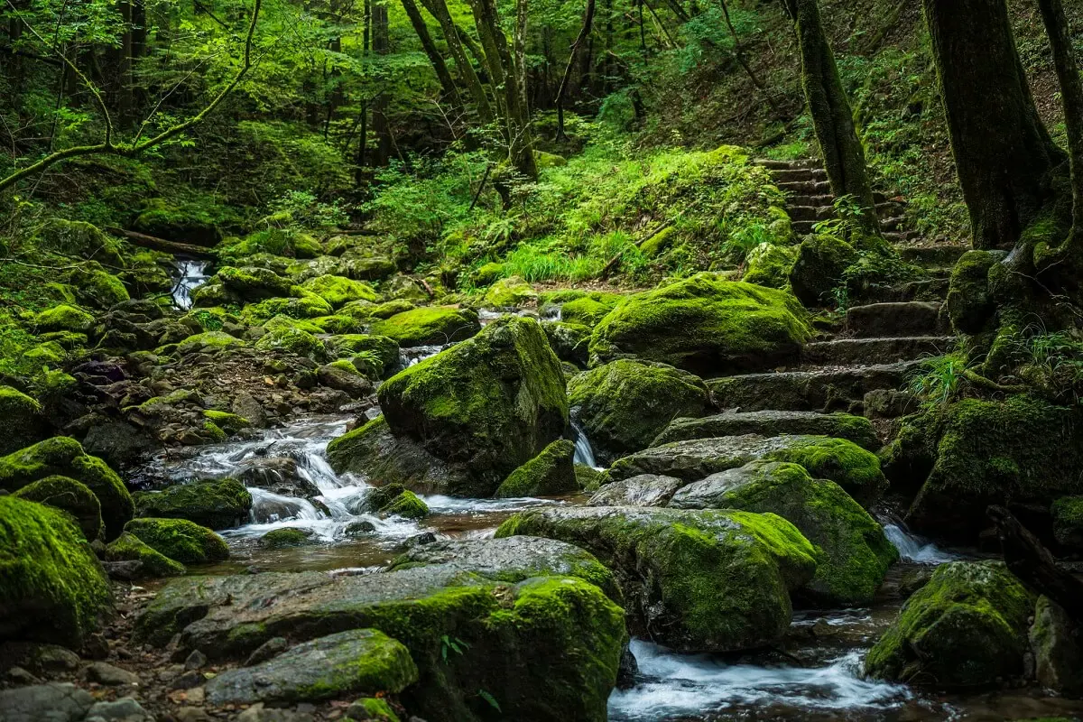 御岳渓谷(写真 6)