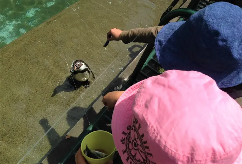 羽村市動物公園