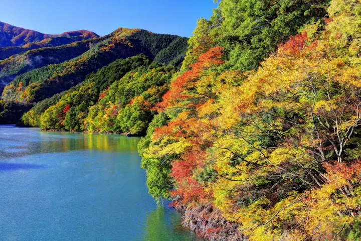 自然散策で奥多摩湖ハイキング