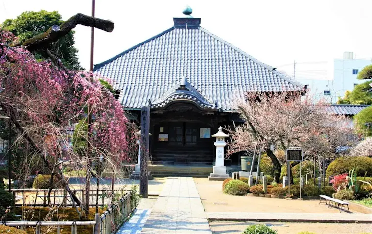 金剛寺
