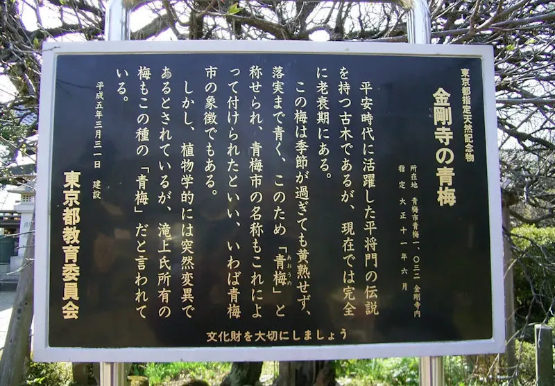金剛寺