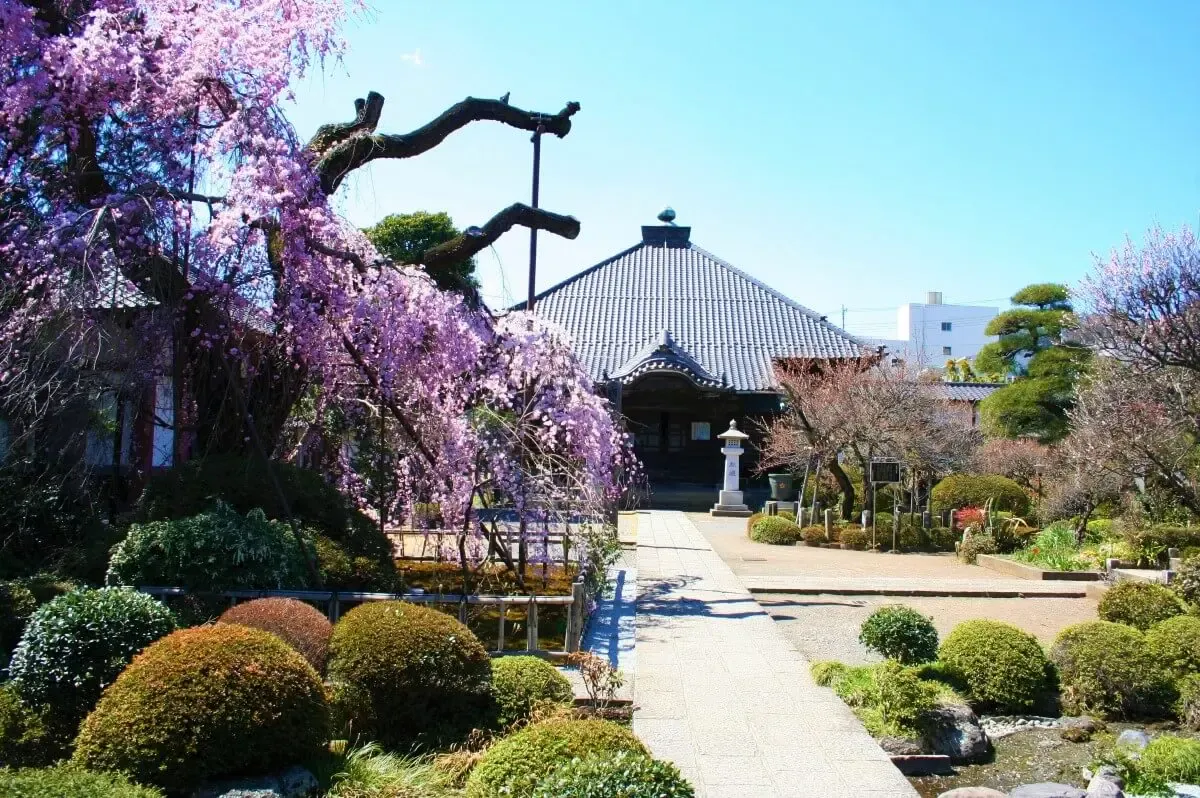 金剛寺（写真 4）