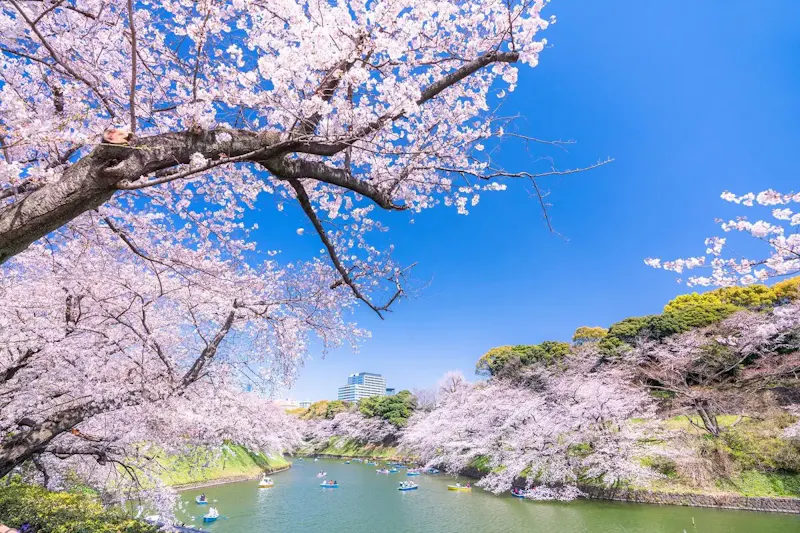 皇居外苑