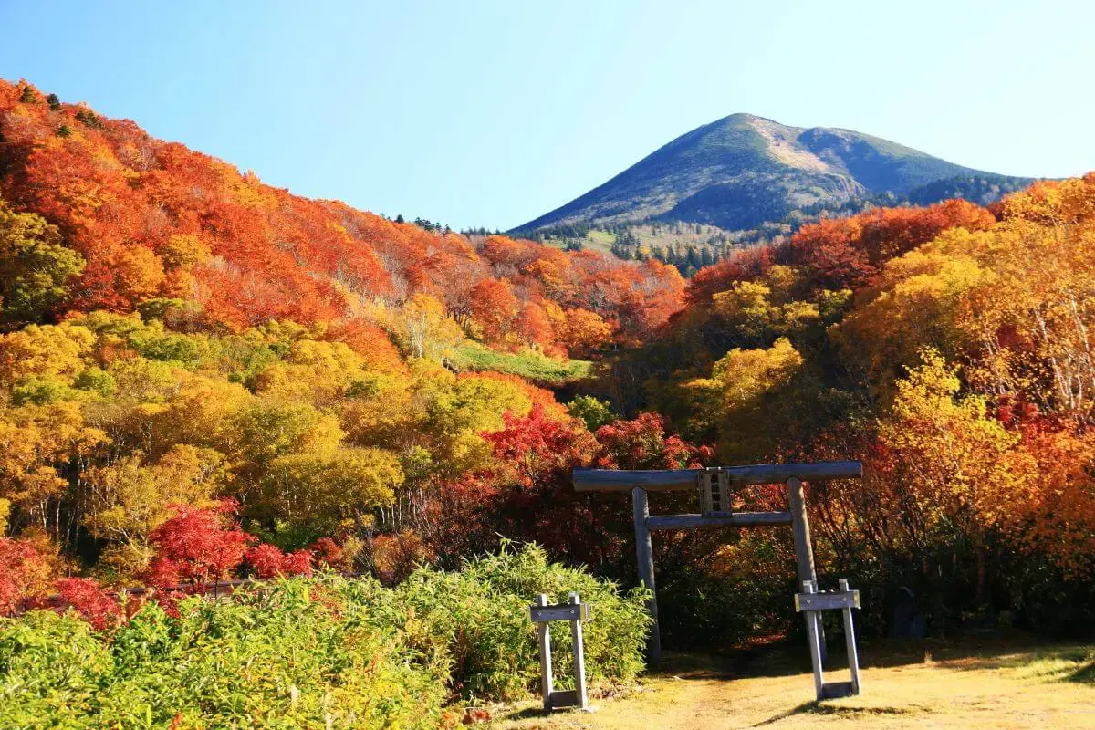 奥入瀬渓流（写真 6）