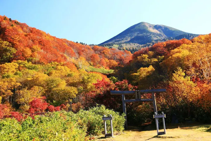十和田湖や八甲田山とセットで観光できます