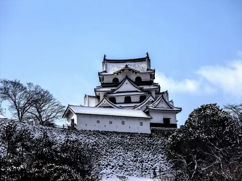 彦根城