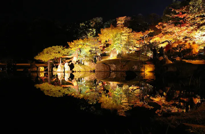 紅葉の季節にはライトアップイベントが開催