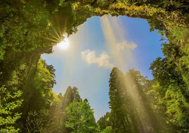神秘的な雰囲気が漂う幻想的な滝！