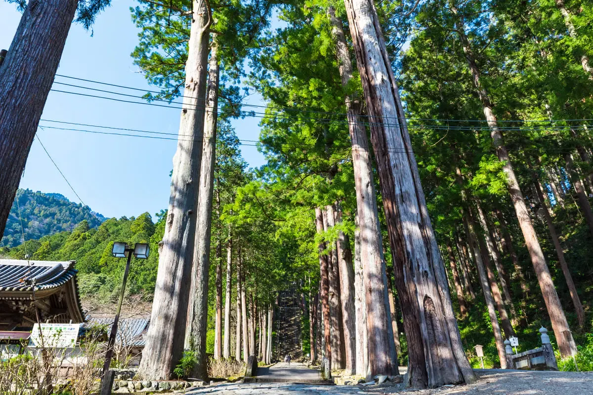 身延山久遠寺（写真 4）