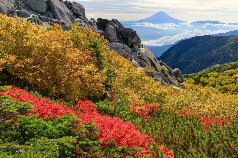 西山温泉