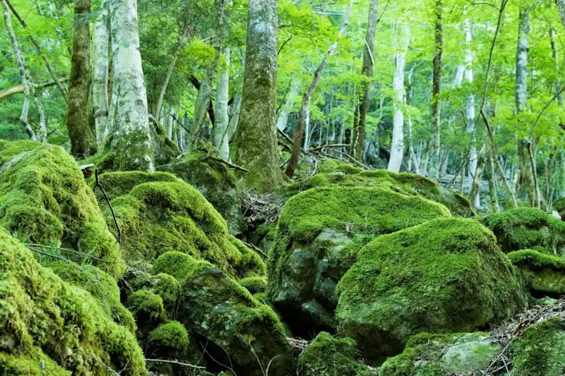 洞川温泉