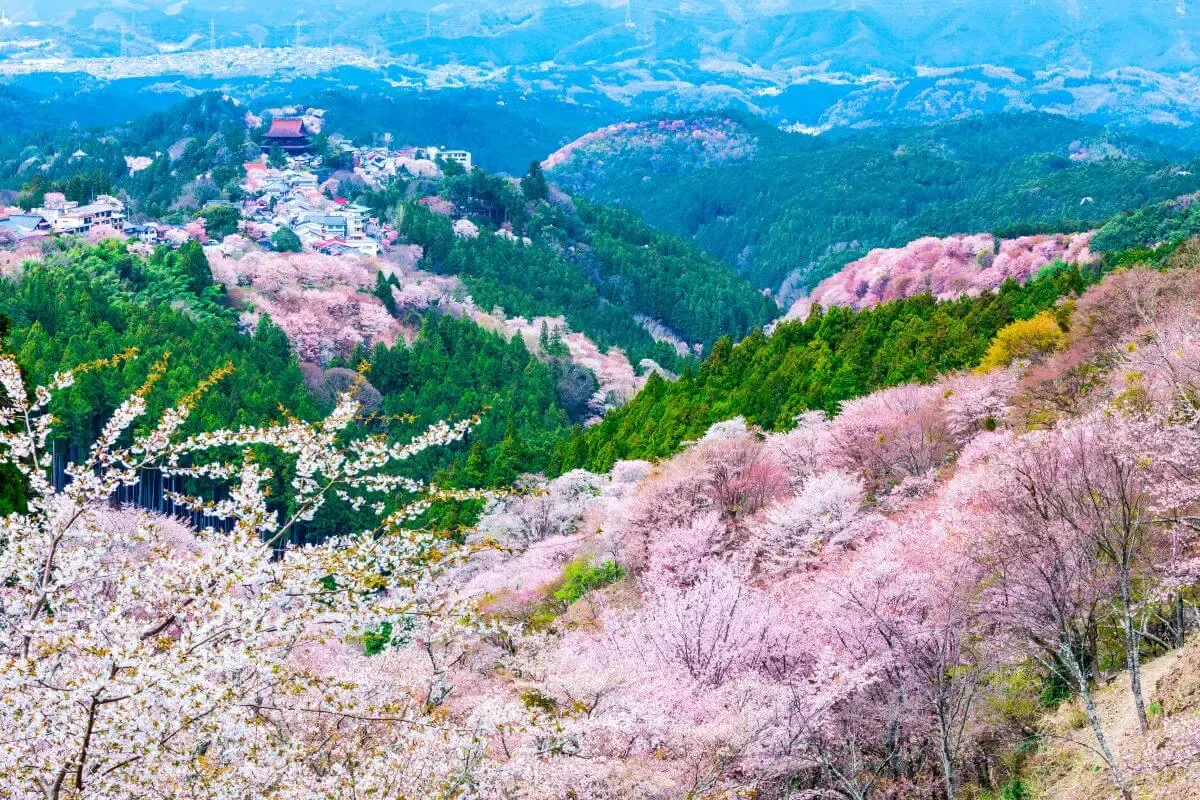 入之波温泉(写真 2)