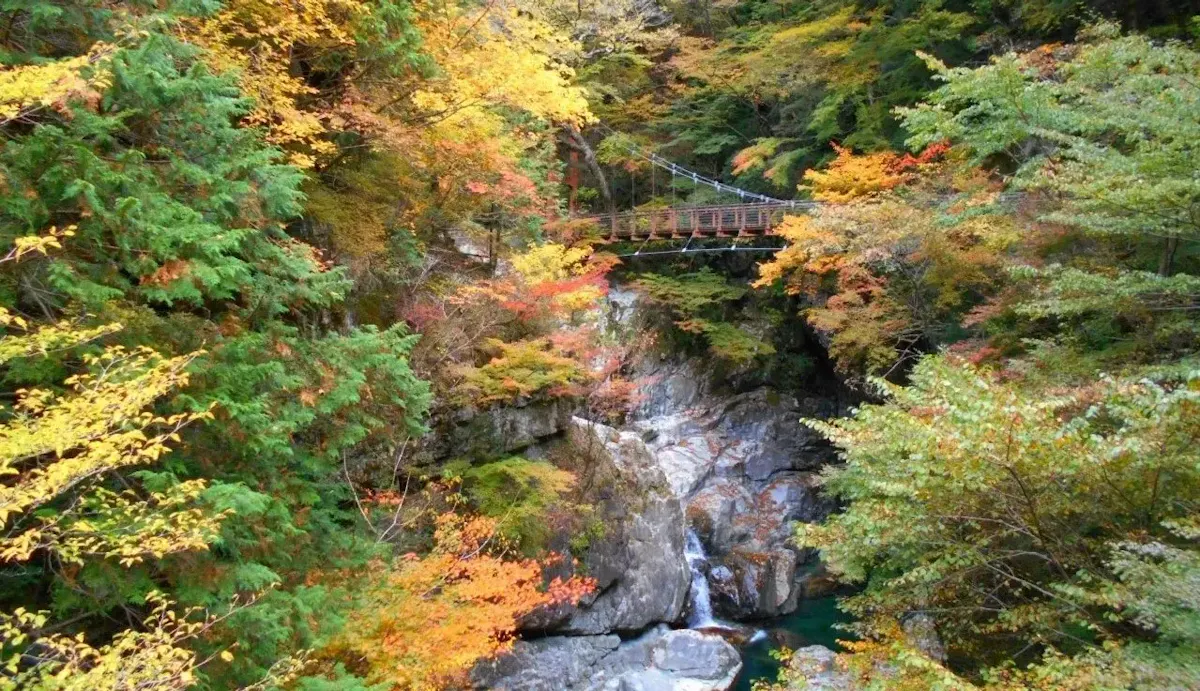 みたらい渓谷(写真 4)