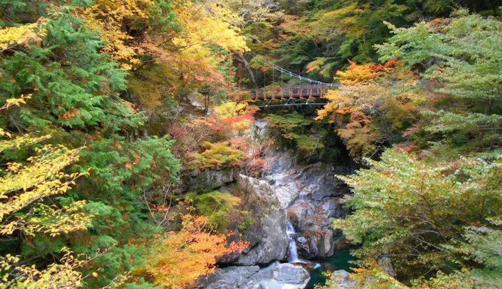 天川村の自然体験も楽しめる