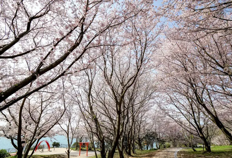 粟嶋公園