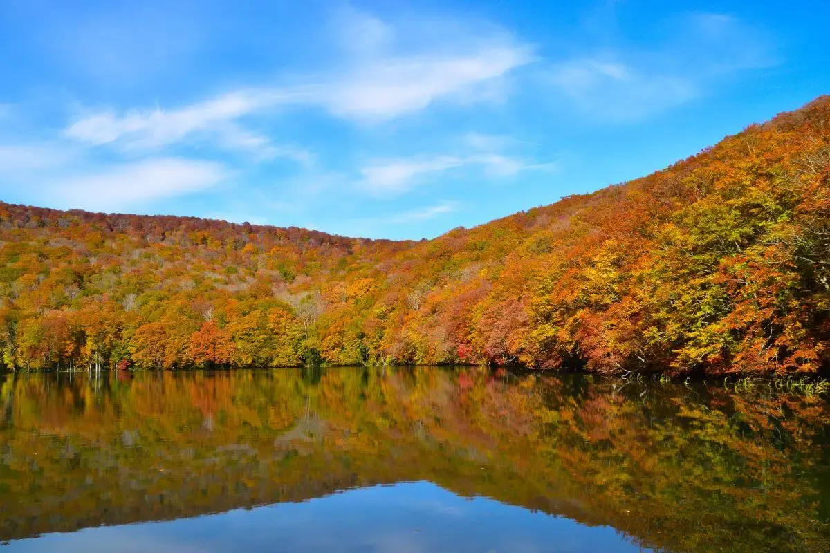 酸ヶ湯温泉（写真 4）