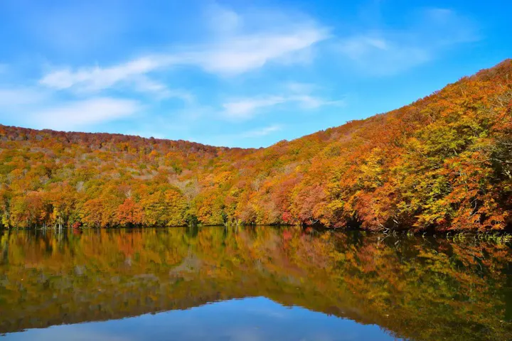 秋は紅葉も楽しめる！