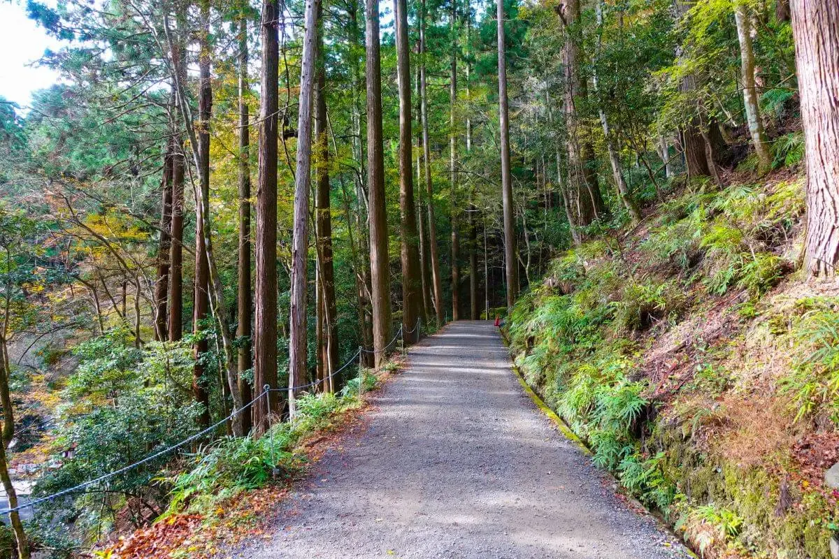 由岐神社(写真 4)