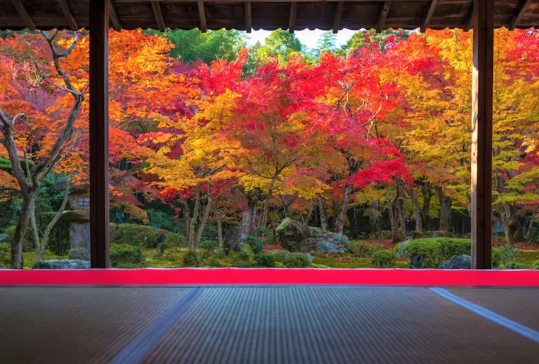 宝泉院