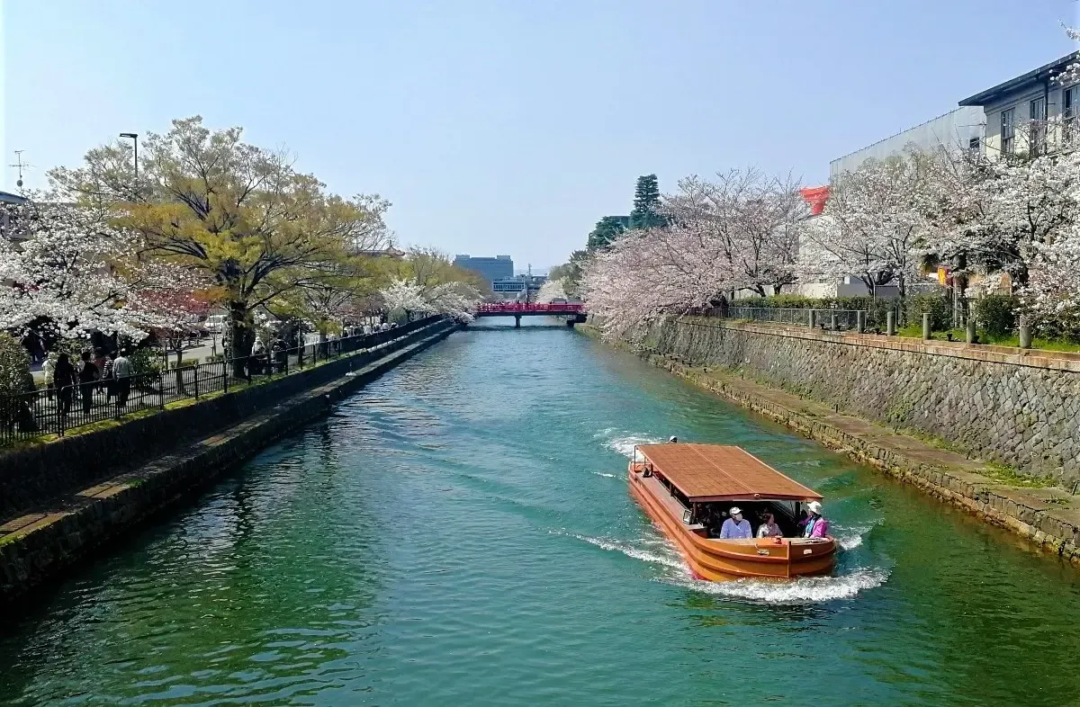 岡崎さくら・わかば回廊十石舟めぐり(岡崎桜回廊ライトアップ&十石舟めぐり)