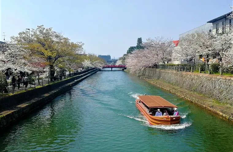 岡崎さくら・わかば回廊十石舟めぐり(岡崎桜回廊ライトアップ&十石舟めぐり)