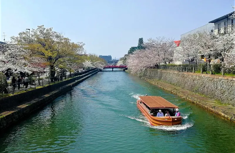 岡崎さくら・わかば回廊十石舟めぐり(岡崎桜回廊ライトアップ&十石舟めぐり)