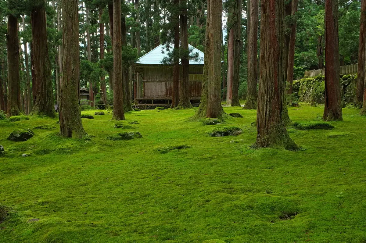 史跡白山平泉寺旧境内(写真 2)