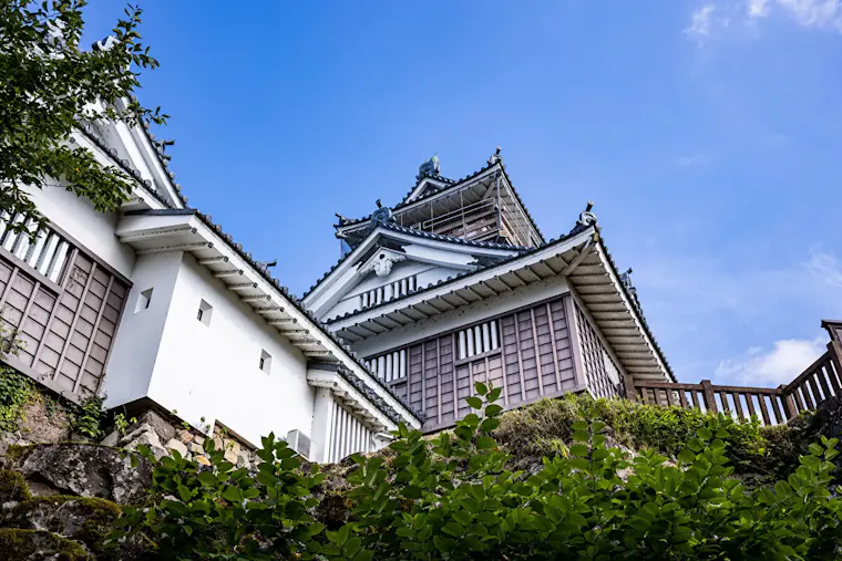 越前大野城