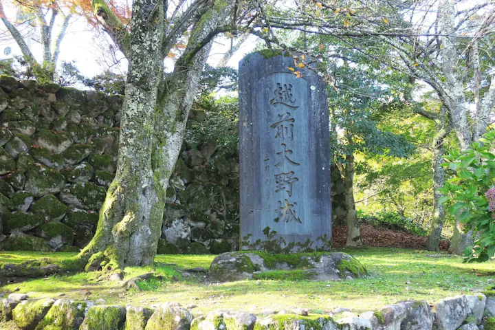 30分~1時間をおすすめします