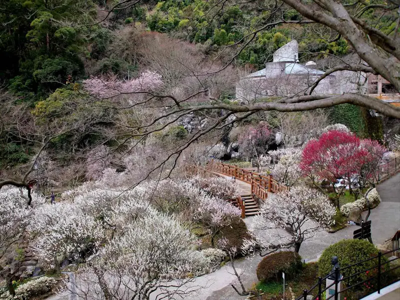 熱海梅園