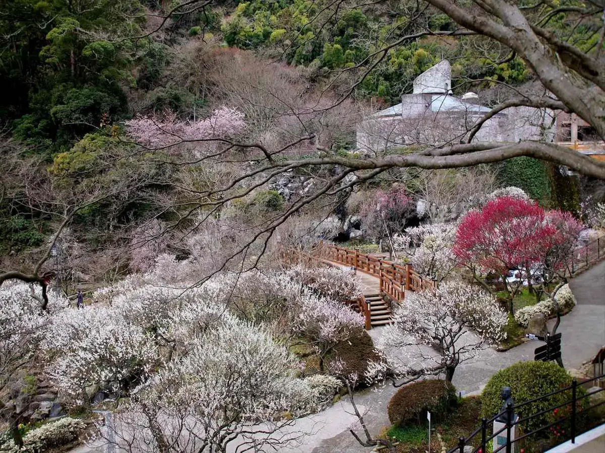 熱海梅園