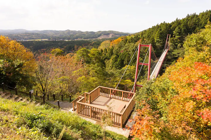 真っ赤に色付く紅葉と橋のコラボは必見