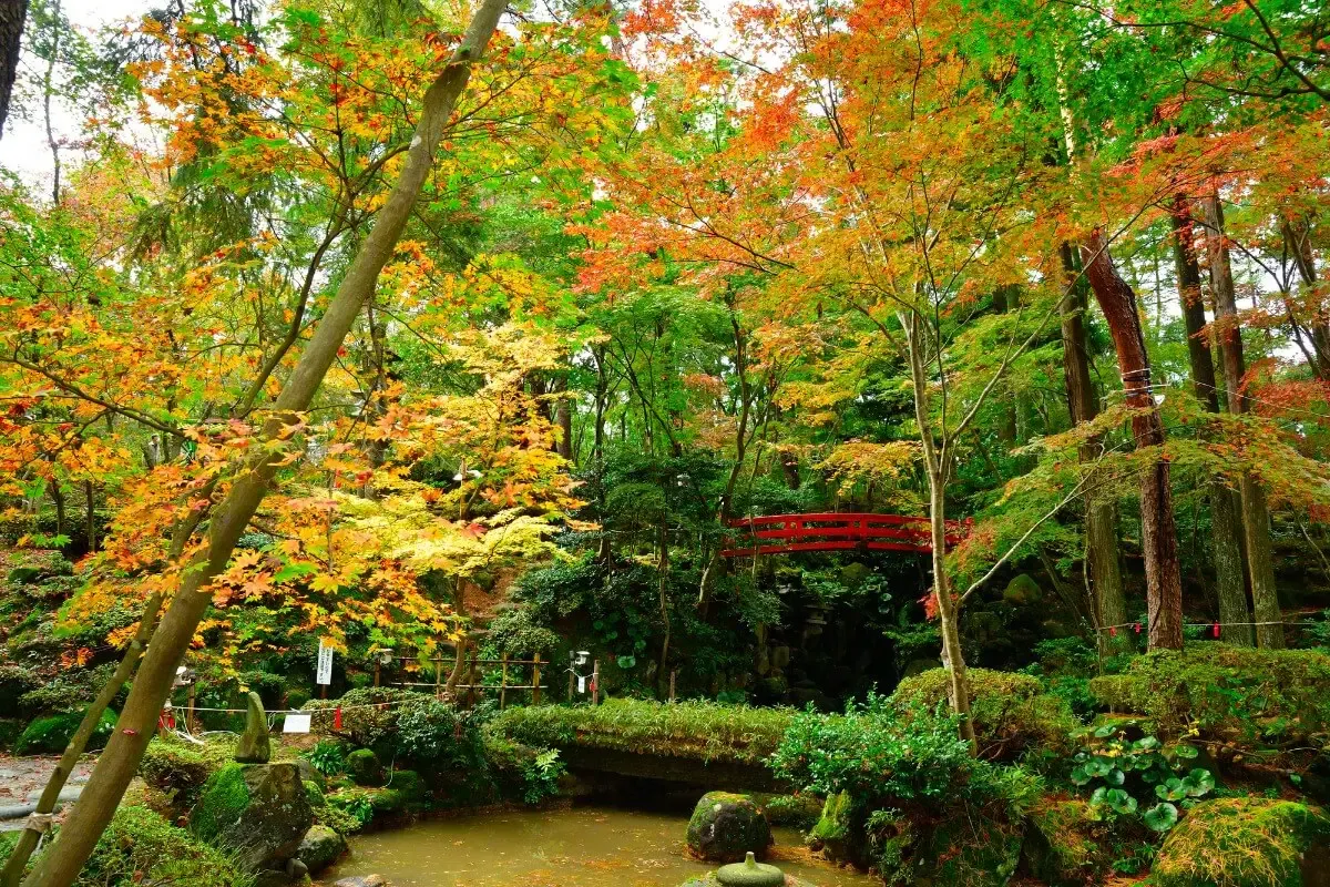 柏崎 松雲山荘庭園