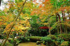 柏崎 松雲山荘庭園