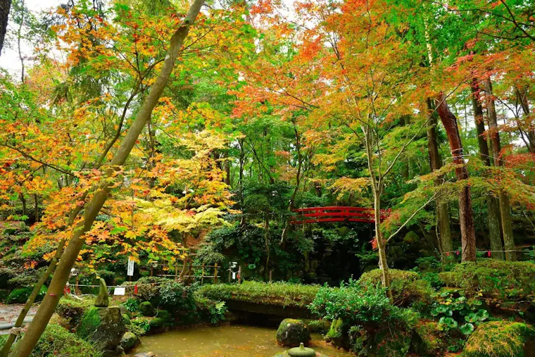 柏崎 松雲山荘庭園