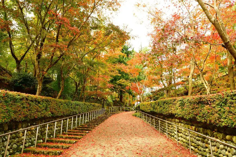 柏崎 松雲山荘庭園