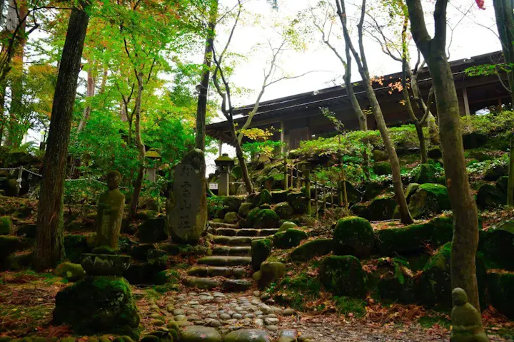 樹木と灯篭と池を絶妙な位置で配している日本庭園