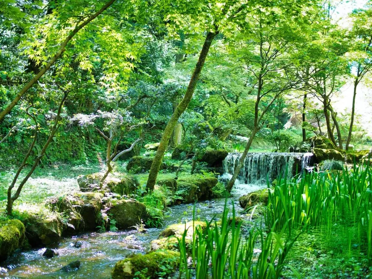 柏崎 松雲山荘庭園(写真 5)