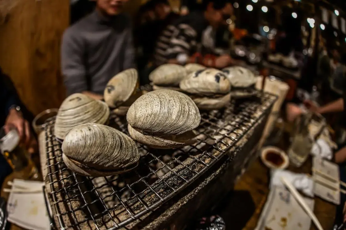 日本海フィッシャーマンズケープ(写真 5)