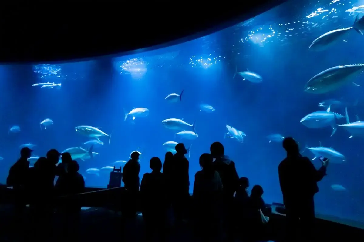 葛西臨海水族園(写真 2)
