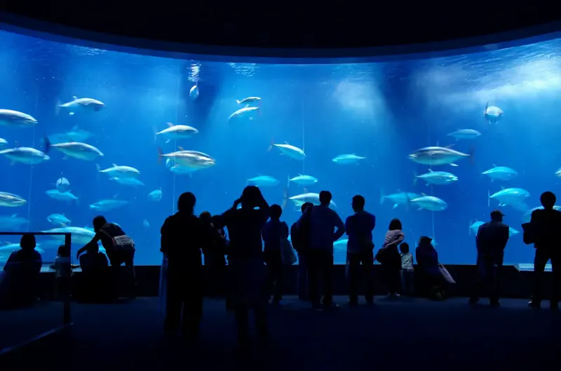 葛西臨海水族園