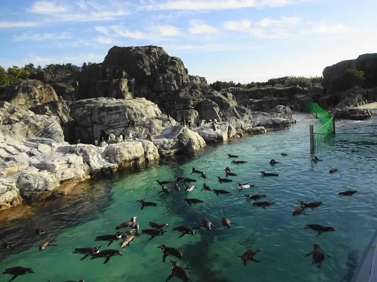 葛西臨海水族園(写真 5)