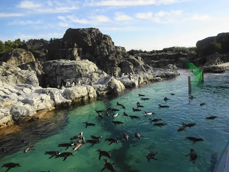 葛西臨海水族園