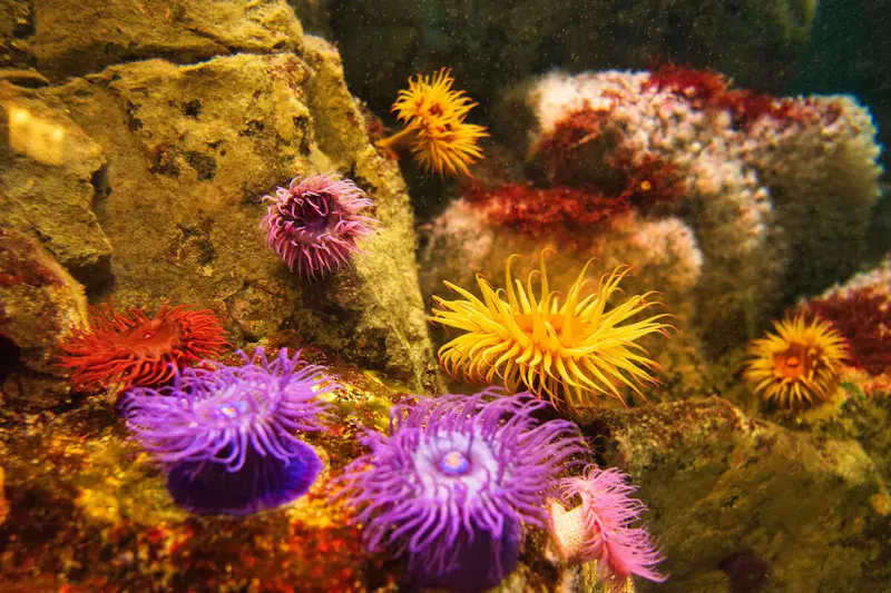 葛西臨海水族園
