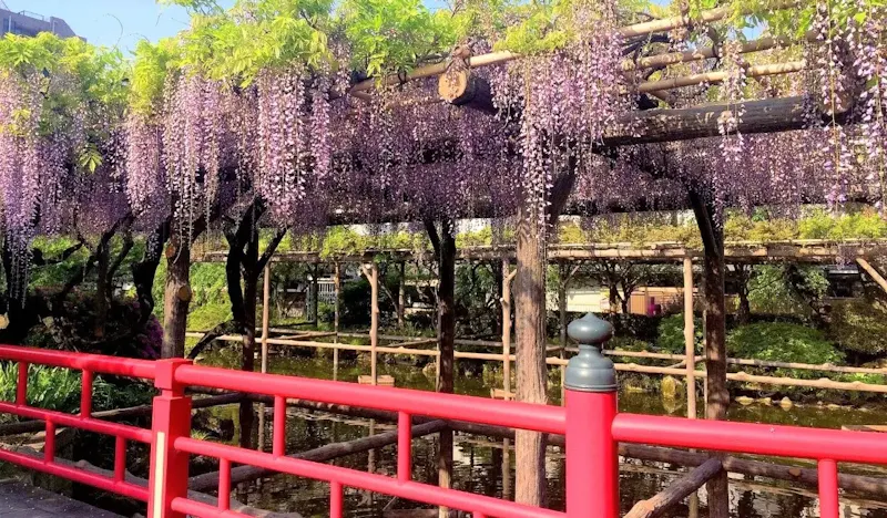 亀戸天神社