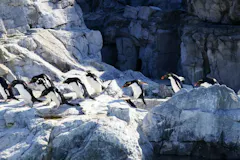 江戸川区自然動物園