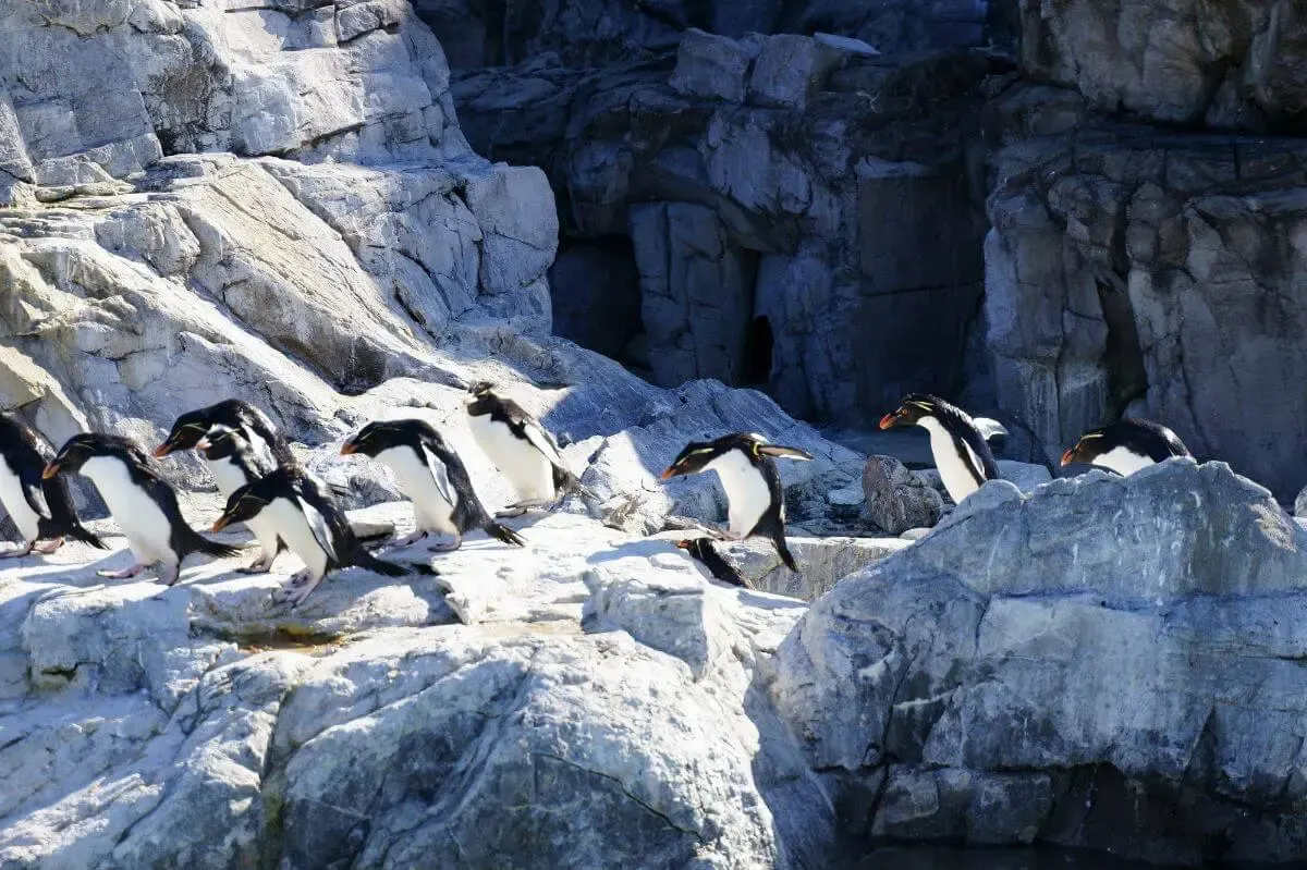 江戸川区自然動物園