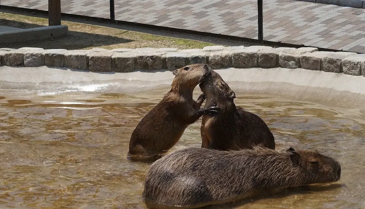 堺・緑のミュージアム　ハーベストの丘（写真 3）